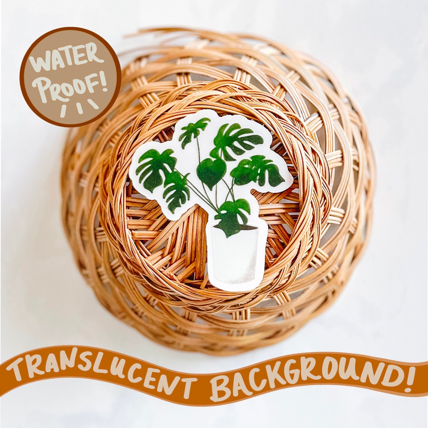 Monstera sticker, waterproof, translucent background