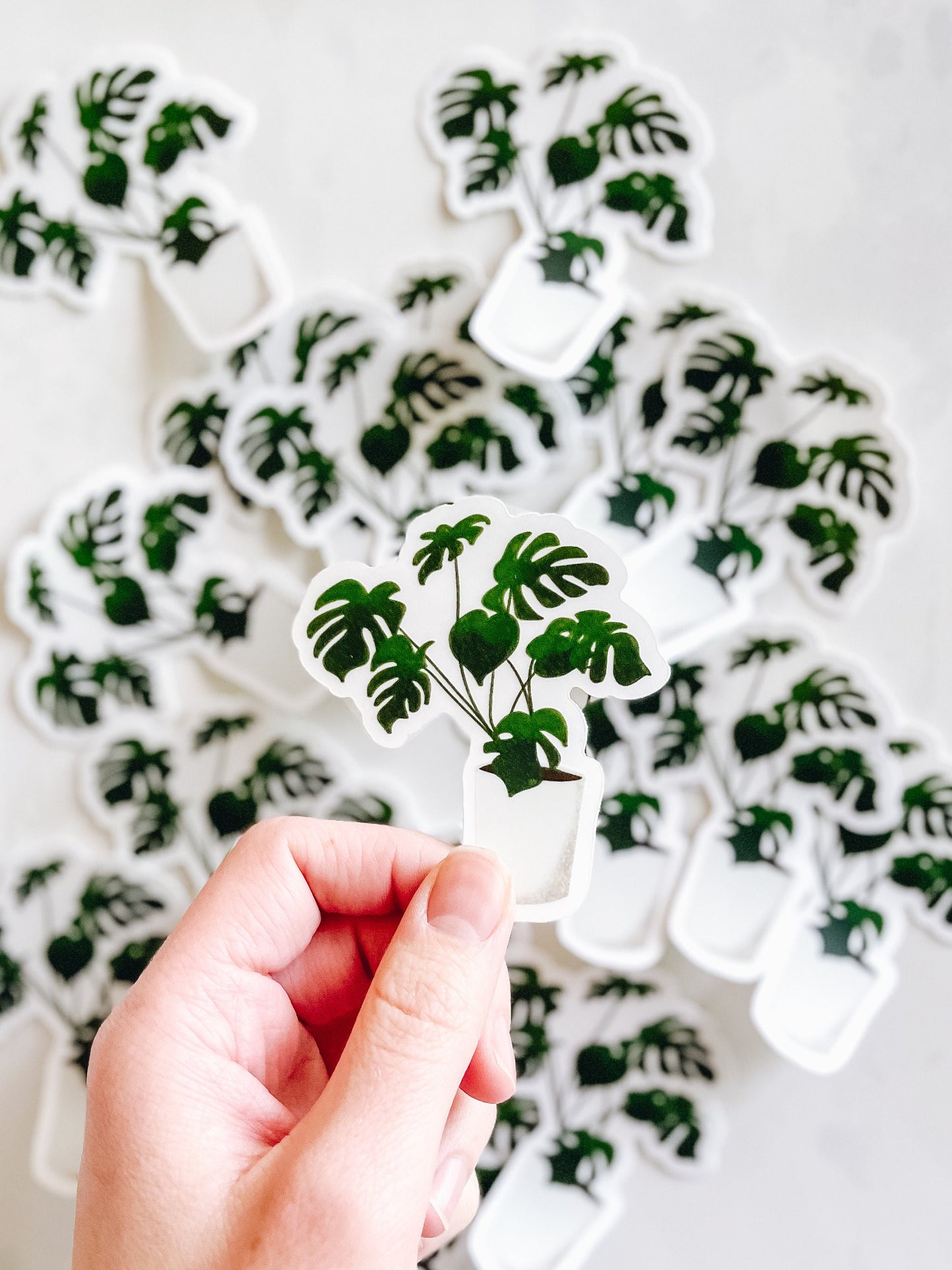Monstera sticker, waterproof, translucent background