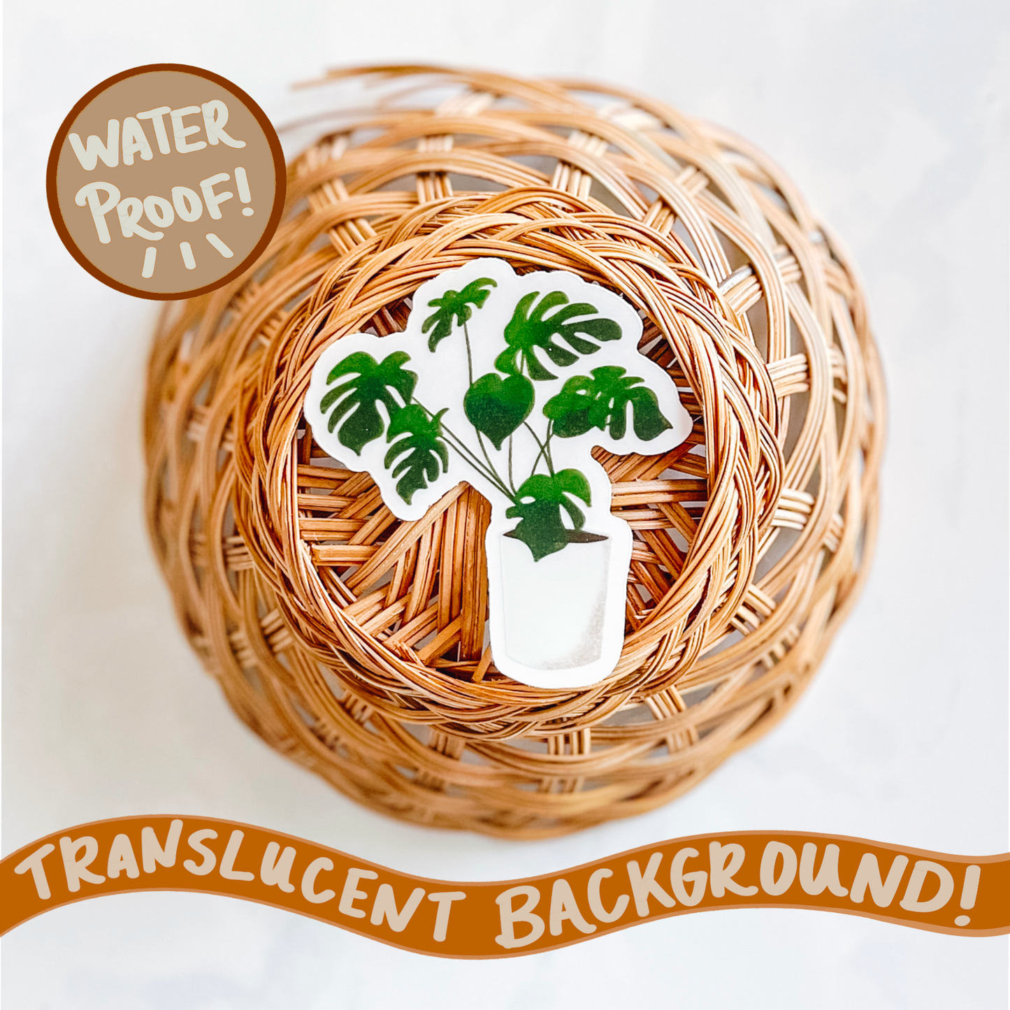 Monstera Plant Sticker