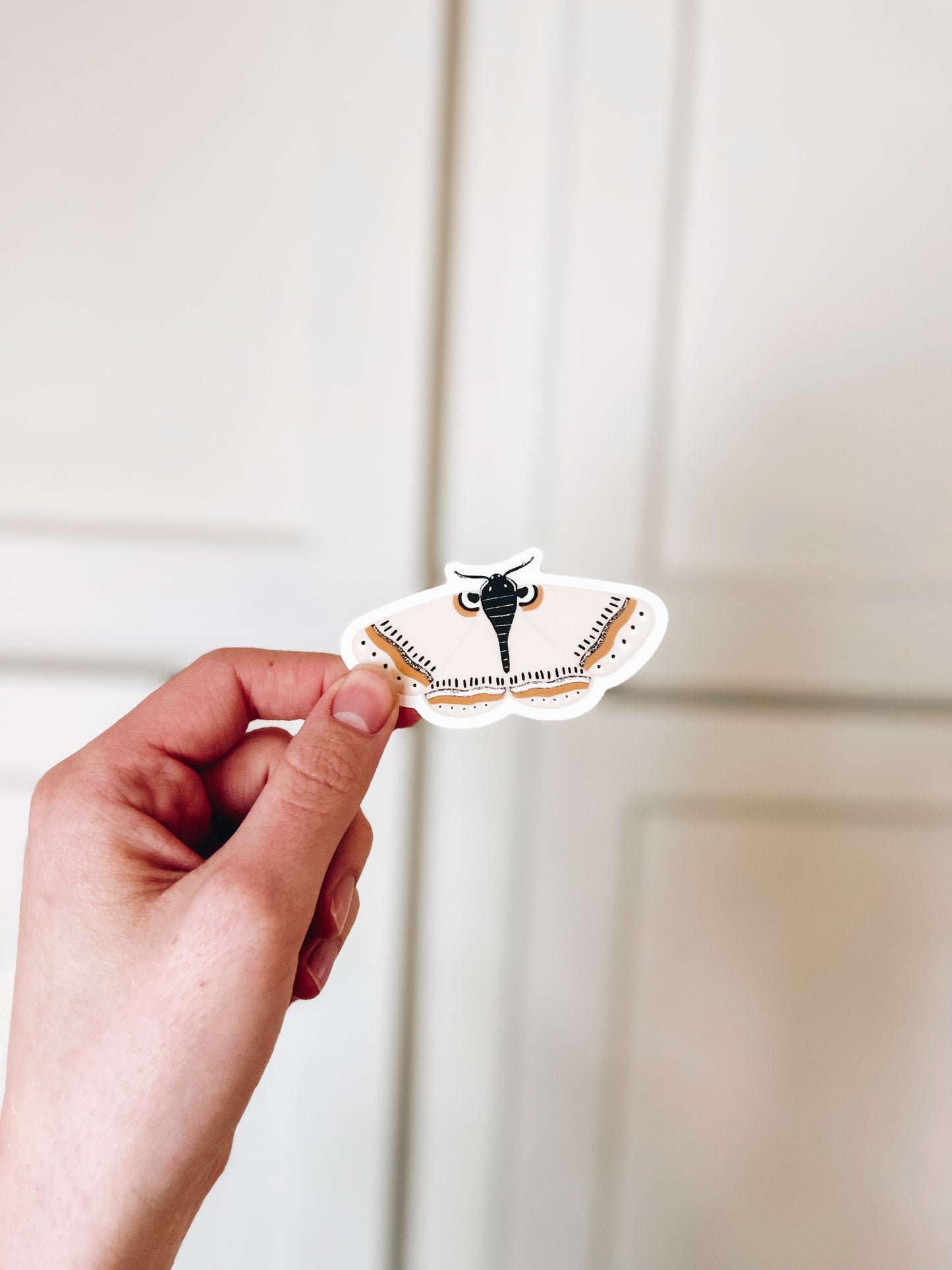 Moth Sticker