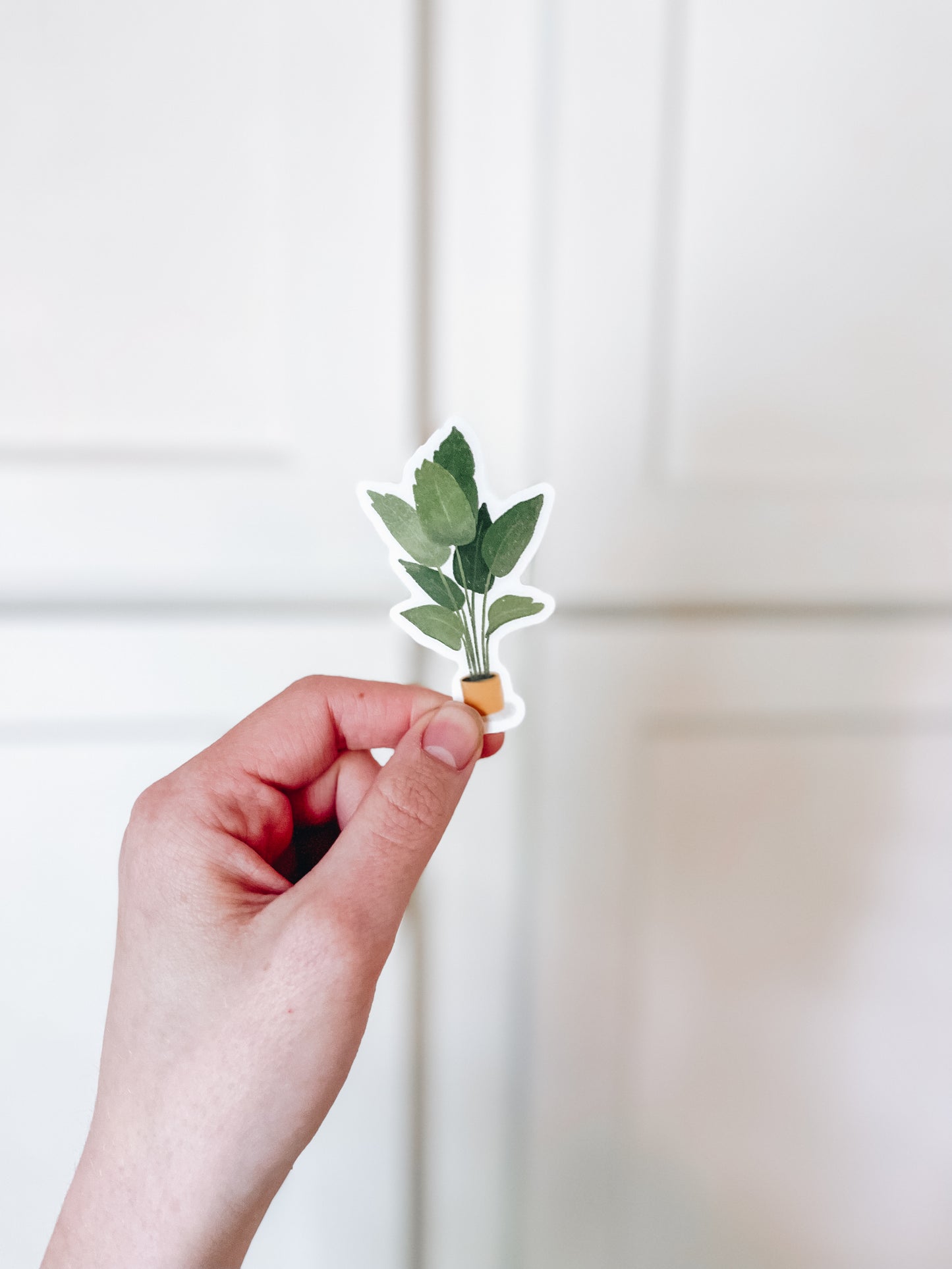 Palm Houseplant Plant Sticker