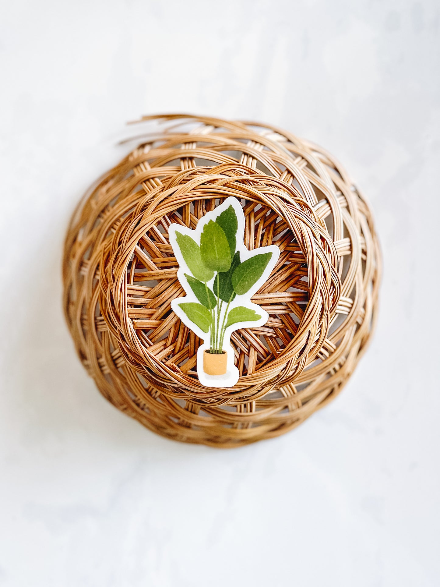 Palm Houseplant Plant Sticker