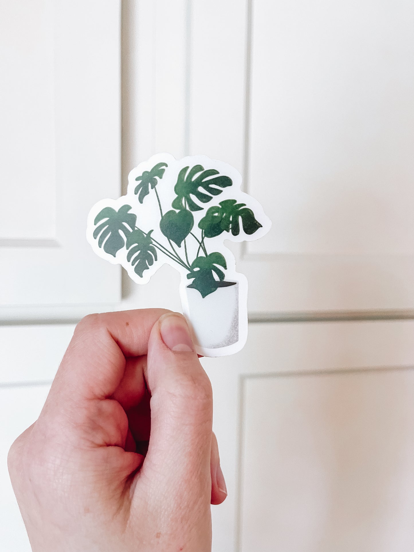 Monstera Plant Sticker