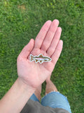 Rainbow Trout Vinyl Sticker